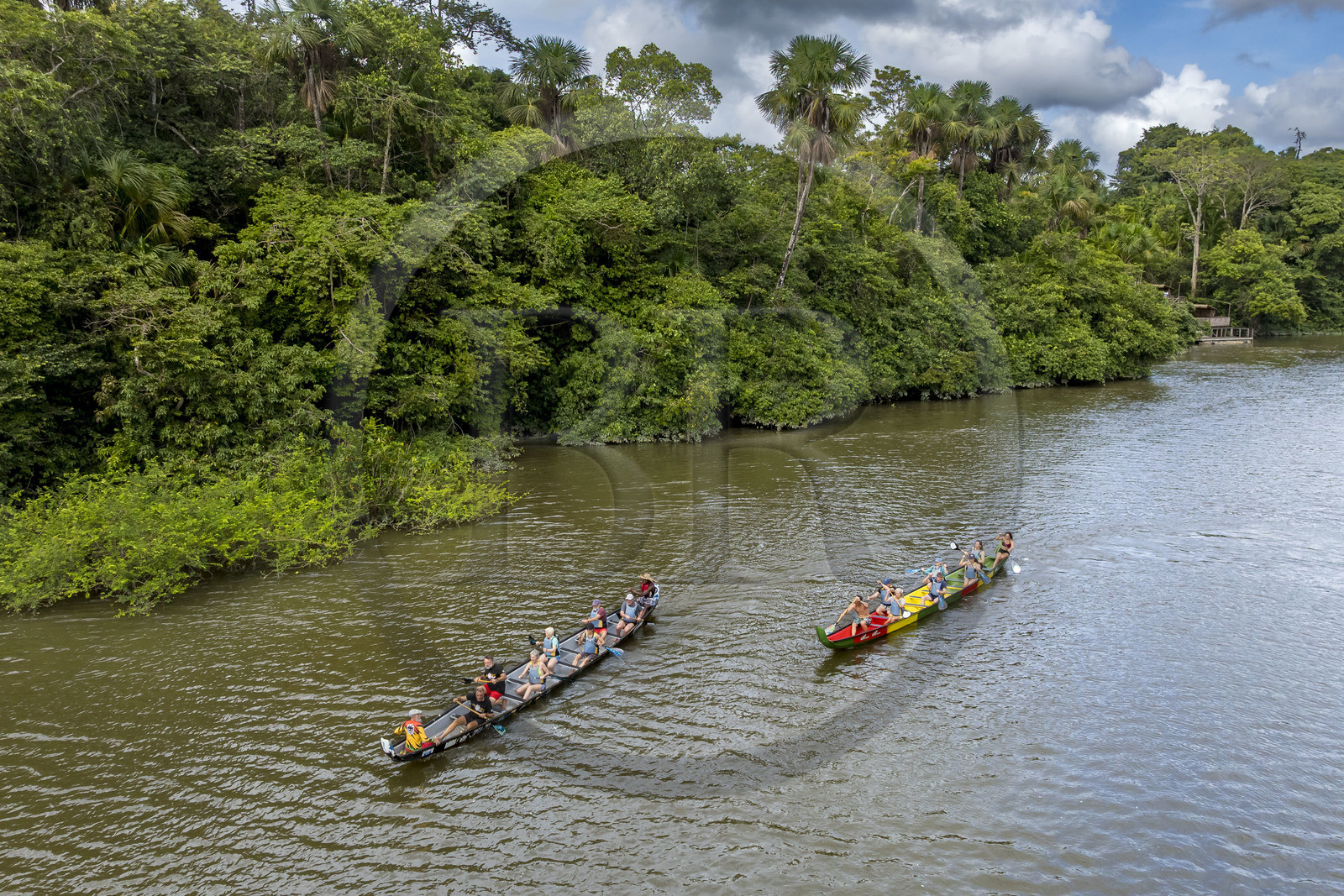 France, Guyane, Kourou, Camp Maripas, course de deux pirogues P12 (pirogue traditionnelle Guyanaise adaptée en résine) sur le fleuve Kourou (vue aérienne)