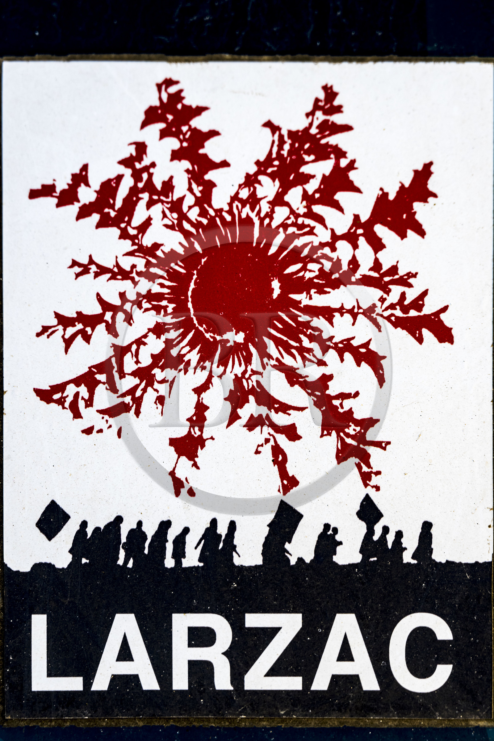 France, Hérault (34), les Causses et les Cévennes, La Vacquerie-et-Saint-Martin-de-Castries, Cardabelle (Carline à feuilles d'acanthe) stylisée sur un autocollant activiste du Larzac