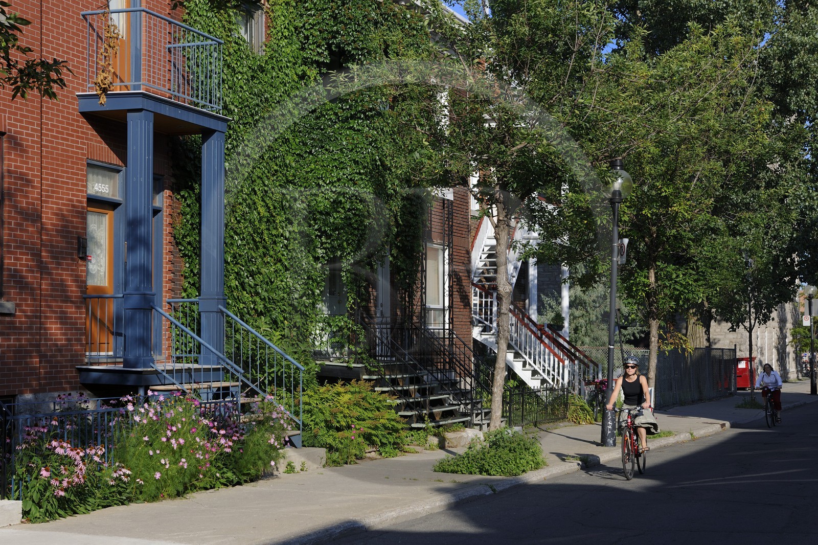 Canada, province de Québec, Montréal, quartier du Plateau Mont Royal Canada, province de Québec, Montréal, quartier du Plateau Mont Royal