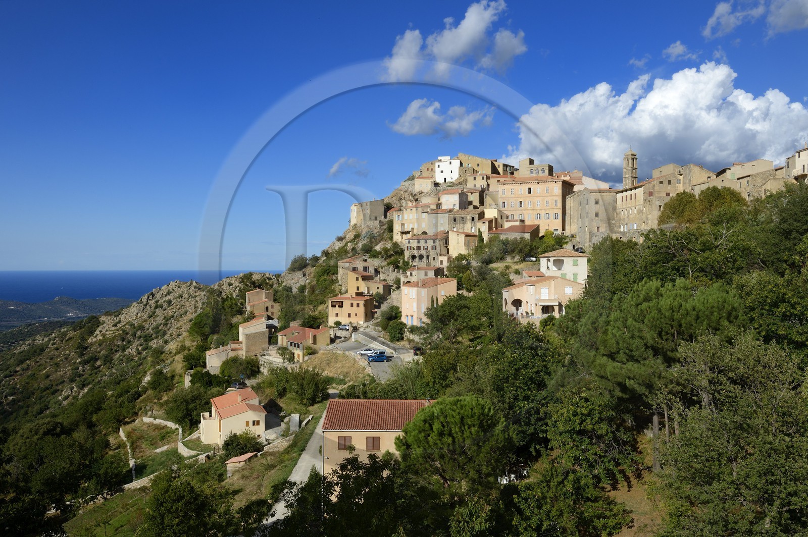 France, Haute-Corse (2B), Balagne, village perché de Speloncato