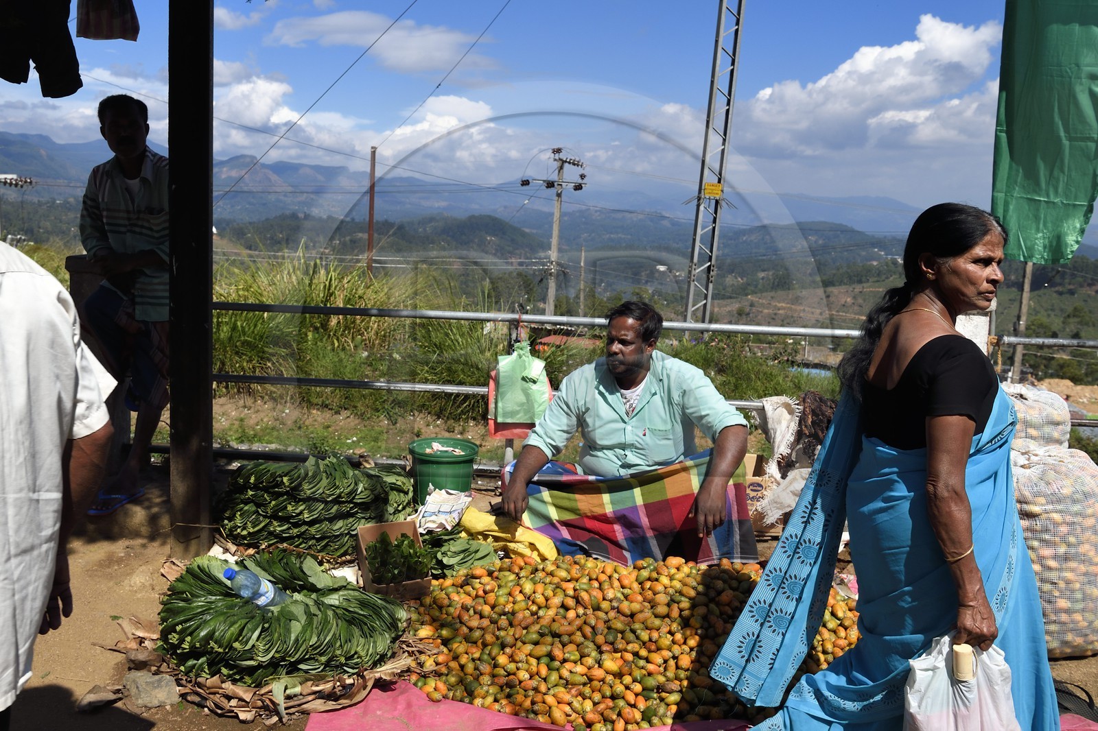 Sri Lanka, Province d'Uva, Haputale, vendeur ambulant de feuilles et de noix de bétel