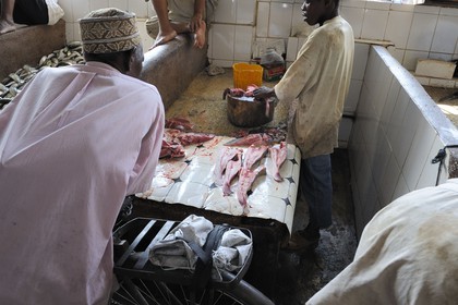 Tanzanie, Zanzibar, Stown Town, le marché de Darajani, marché au poissons