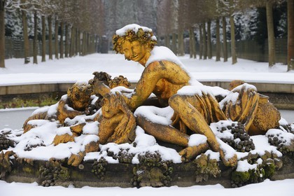 France, Yvelines, snow covered park of the Chateau de Versailles, listed as World Heritage by UNESCO, Bacchus Basin also called the Autumn Basin artwork by Marsy