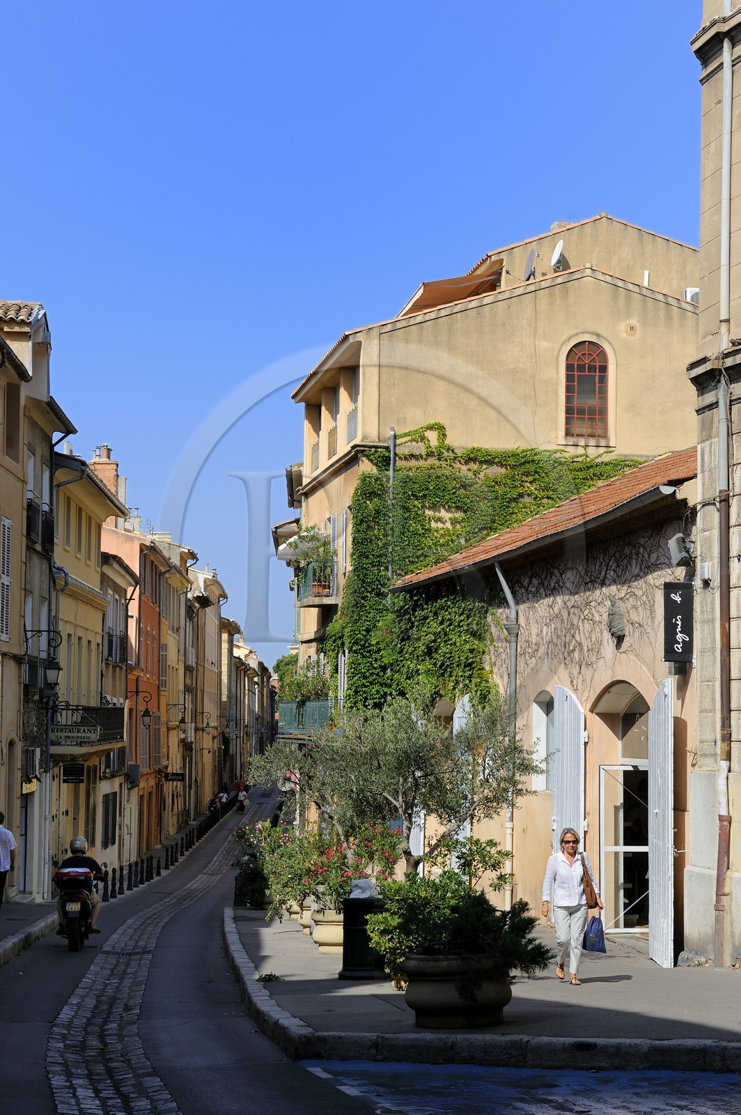 France, Bouches-du-Rhône (13), Aix-en-Provence, la rue Fernand Dol dans la vieille ville