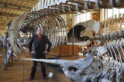 France, Paris (75), Jardin des Plantes, Museum National d'Histoire Naturelle, Galeries de Paléontologie et d'Anatomie comparée