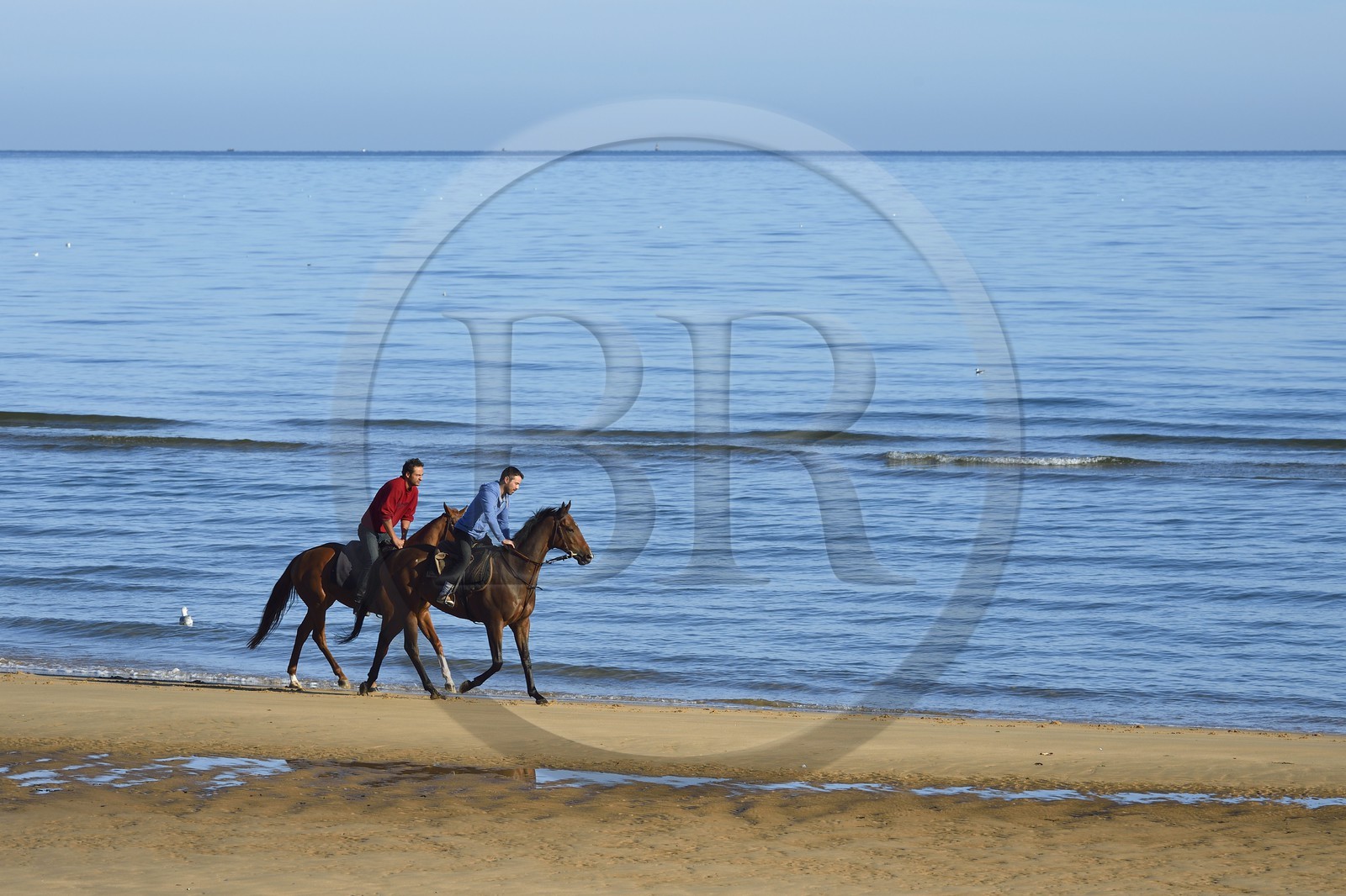 France, Calvados (14), Saint-Laurent-sur-Mer, cavalier sur la plage d'Omaha Beach