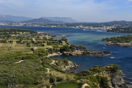 France, Var, Ile des Embiez, Pointe du Coucoussa, in the background Six-Fours-les-Plages on the mainland