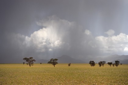 Namibia, Khomas region, Namib Desert East of the Namib Naukluft National Park, under a stormy rain