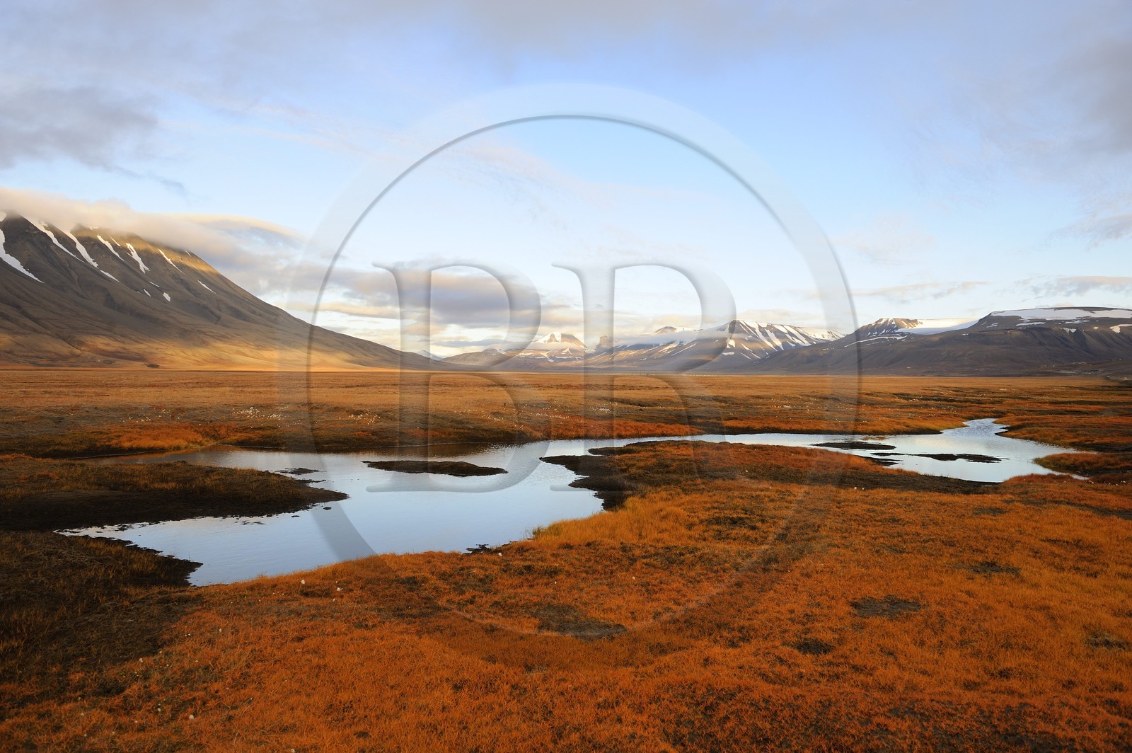 Norway, Svalbard (Spitzbergen), tundra in the region of Longyearbyen