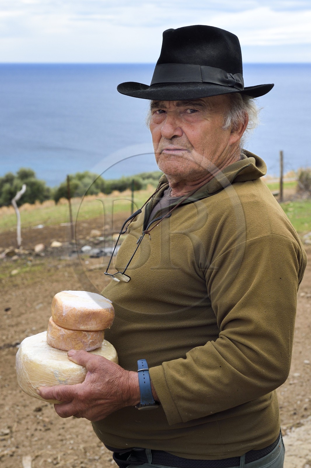 France, Corse-du-Sud (2A), Cargèse, le berger François Defranchi producteur de fromages de brebis