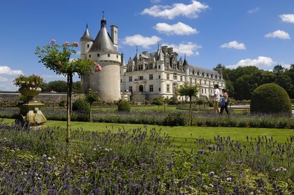 France, Indre-et-Loire (37), château de Chenonceau édifié de 1513 à 1521 de style Renaissance, Jardin de Catherine de Médicis, Jardin de Catherine de Médicis