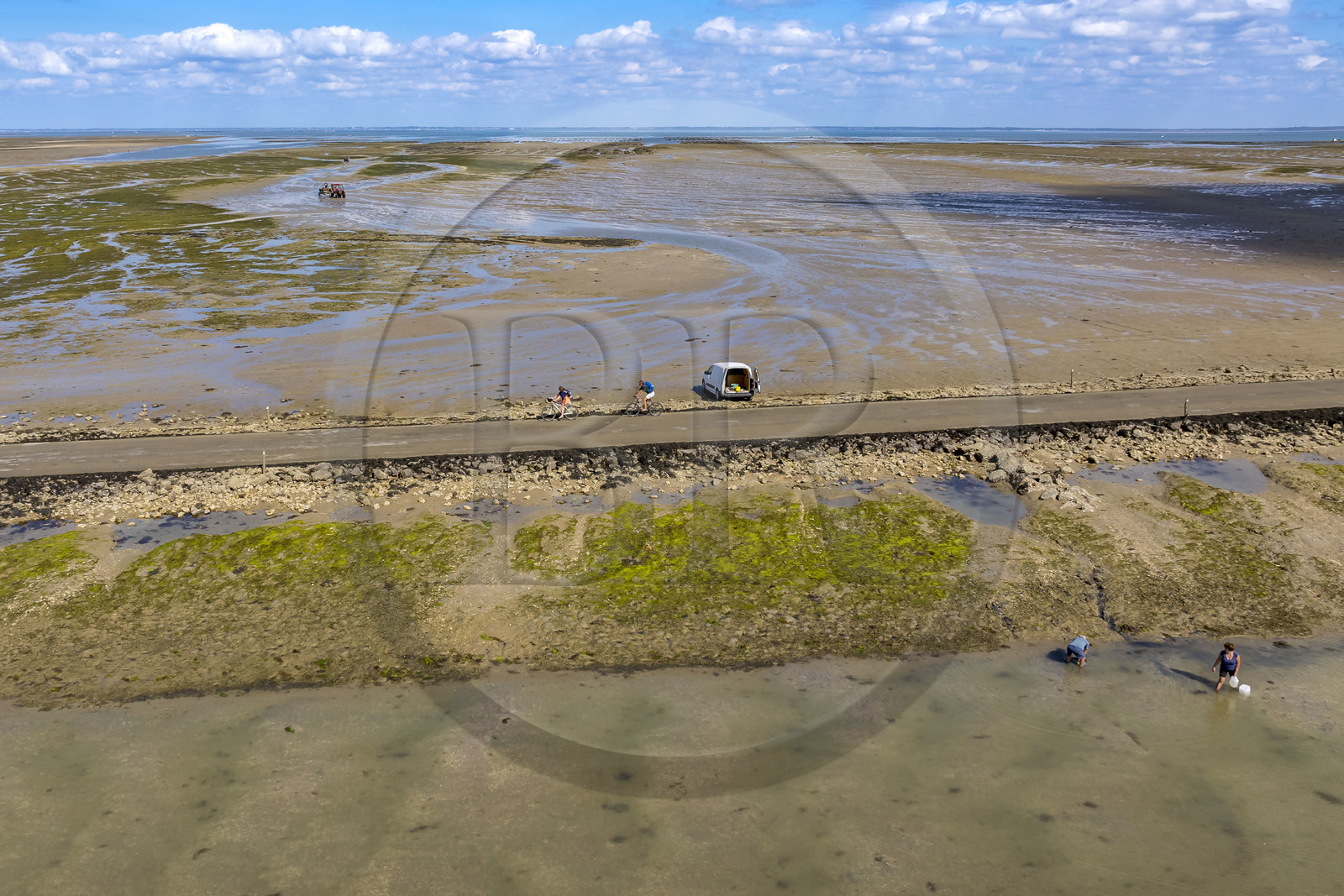 France, Vendée (85), île de Noirmoutier, Barbatre, cyclistes sur le passage du Gois, chaussée submersible qui relie l'île au continent à marrée basse (vue aérienne)