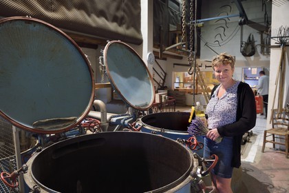 France, Alpes de Haute Provence, La Mure-Argens, Véronique Blanc cultivates and transforms lavender into essential oil