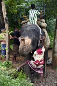Sri Lanka, province centrale, district de Matale, Sigiriya, éléphant avec son cornac