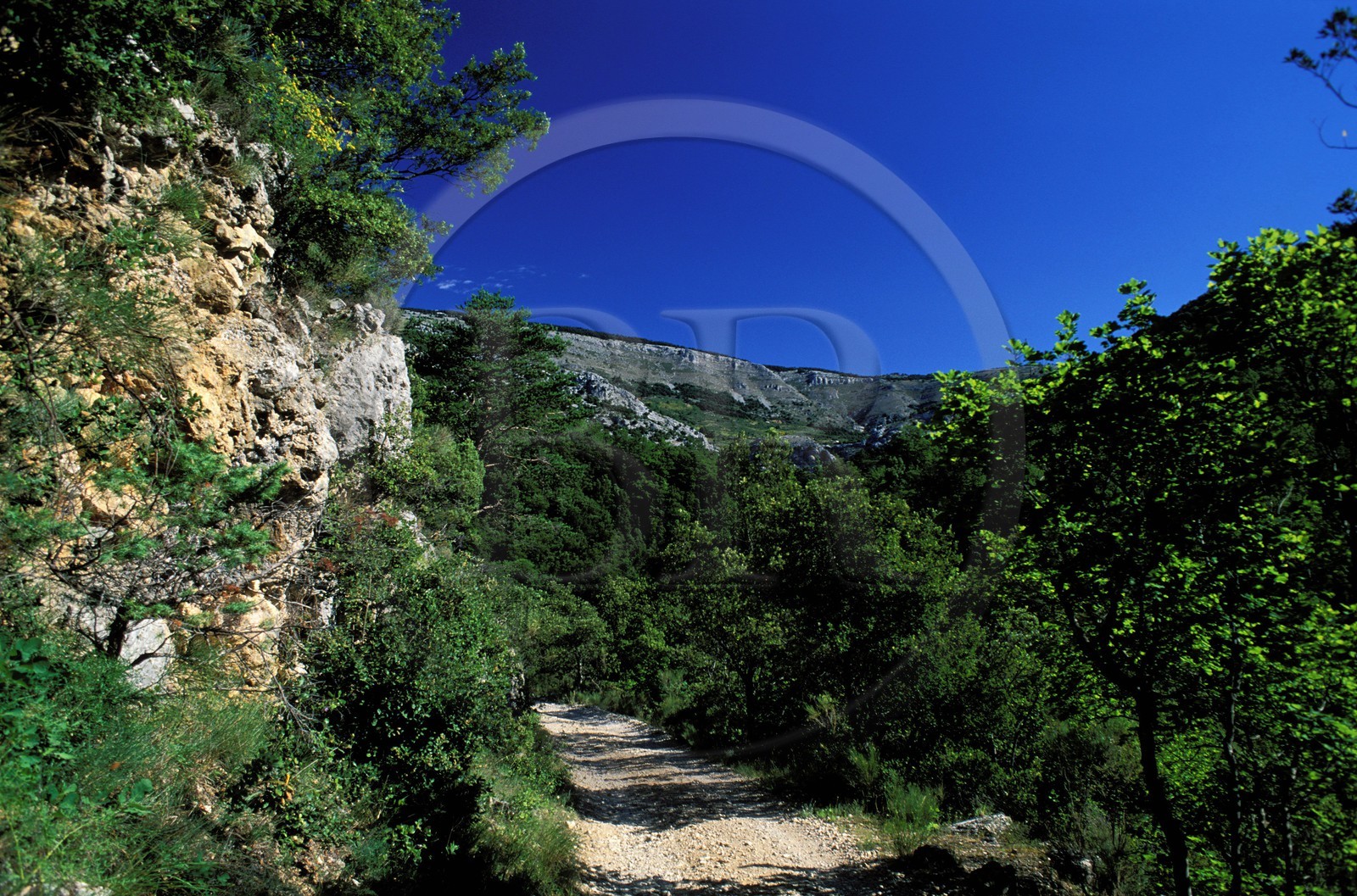 France, Alpes-Maritimes (06), l' authentique Route Napoléon surplombant les Gorges des Sources de la Siagne France, Alpes-Maritimes (06), l' authentique Route Napoléon surplombant les Gorges des Sources de la Siagne