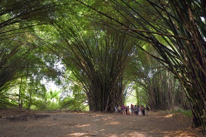 Gabon, province de Ogooué- Maritime, région de Omboué, lagune Fernan Vaz (Nkomi), la mission Sainte-Anne, la cathédrale de bambous qui a servit d'église extérieure