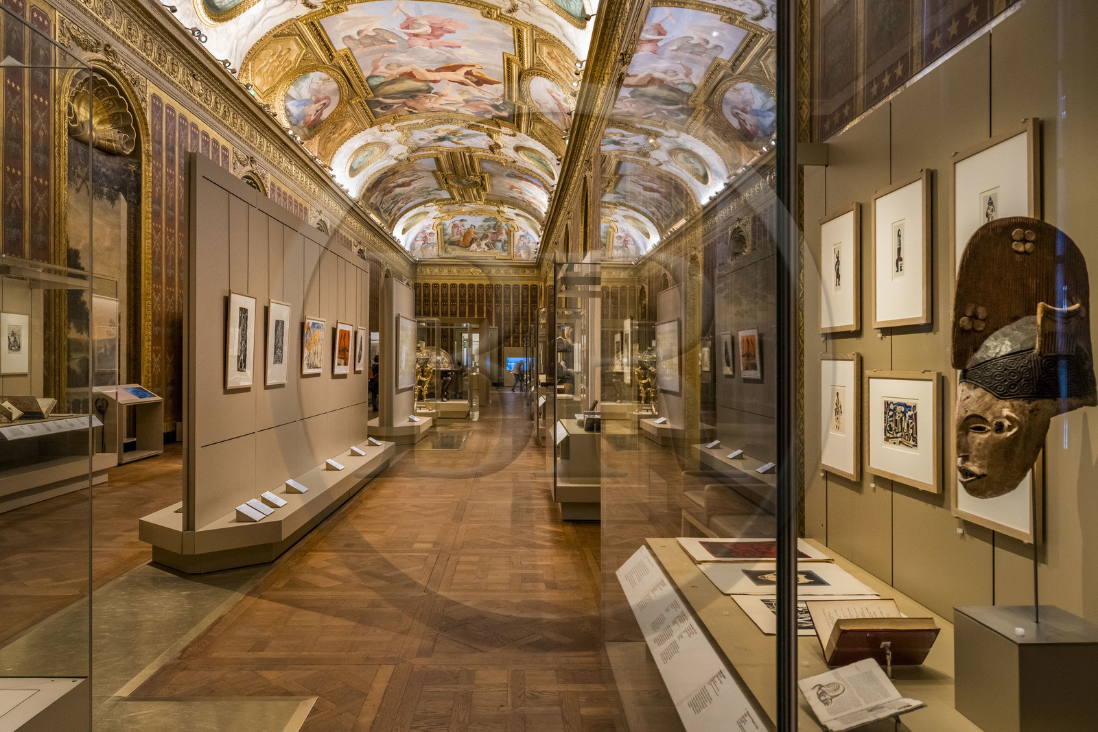 France, Paris (75), Bibliothèque Nationale de France, site Richelieu, la galerie Mazarin