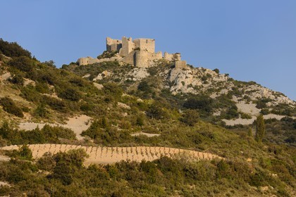 France, Aude, Cathar castle of Aguillar ruins overlooking Tuchan vineyard in the heart of Corbieres ..