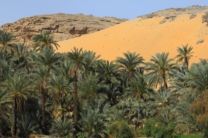 Egypte, Haute Egypte, vallée du Nil, le Nil entre Kom Ombo et Assouan