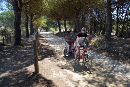 France, Var, Iles d'Hyeres, Parc National de Port Cros (National park of Port Cros), Porquerolles island, family cyclo tour on the island tracks