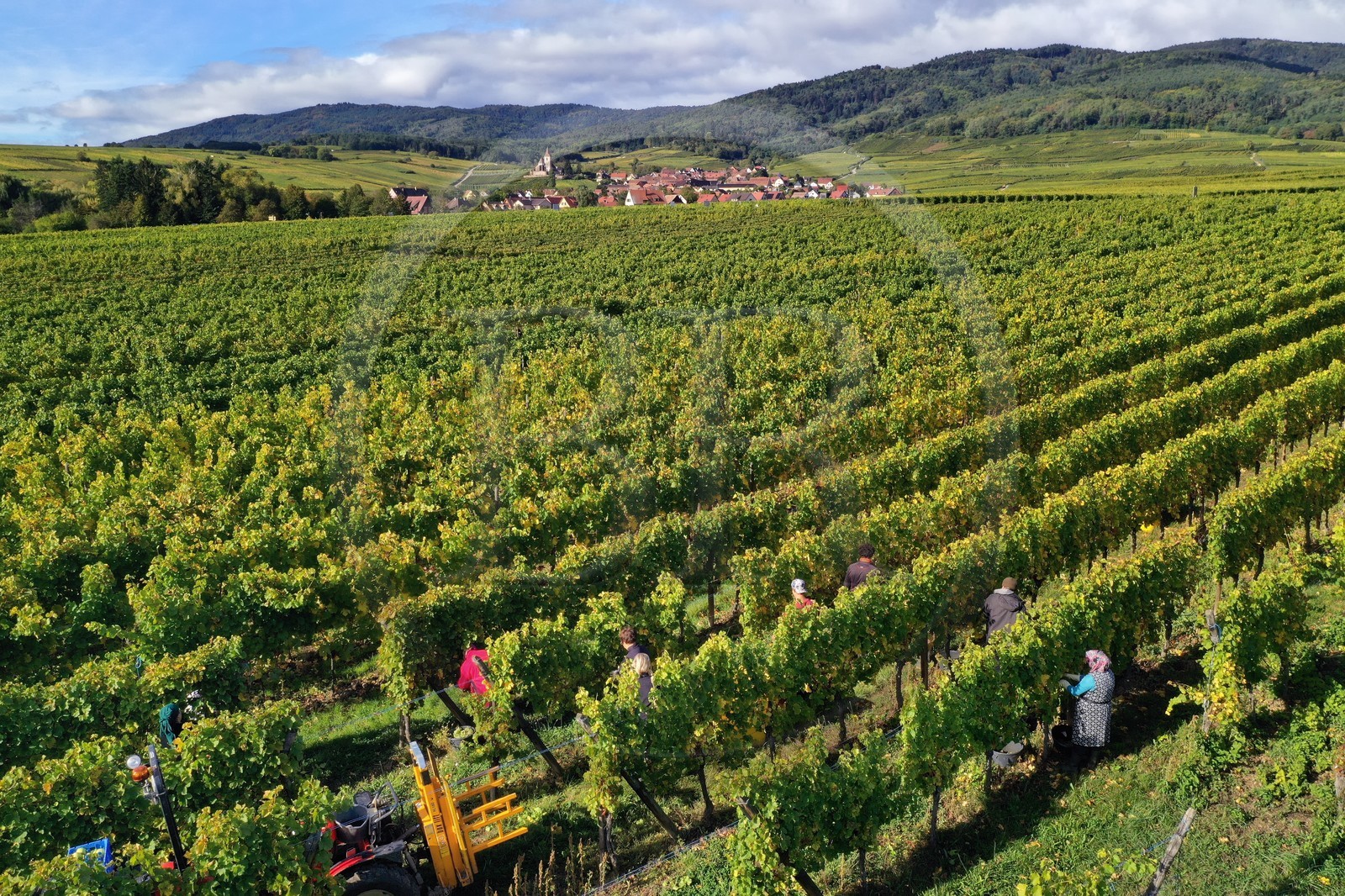 France, Haut-Rhin (68), Route des vins d'Alsace, Ribeauvill
