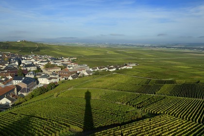 France, Marne, Parc Naturel de la Montagne de Reims (Natural Park of Montagne de Reims), Verzenay,  Lighthouse's shadow of the wine museum overlooking the vineyards of Champagne