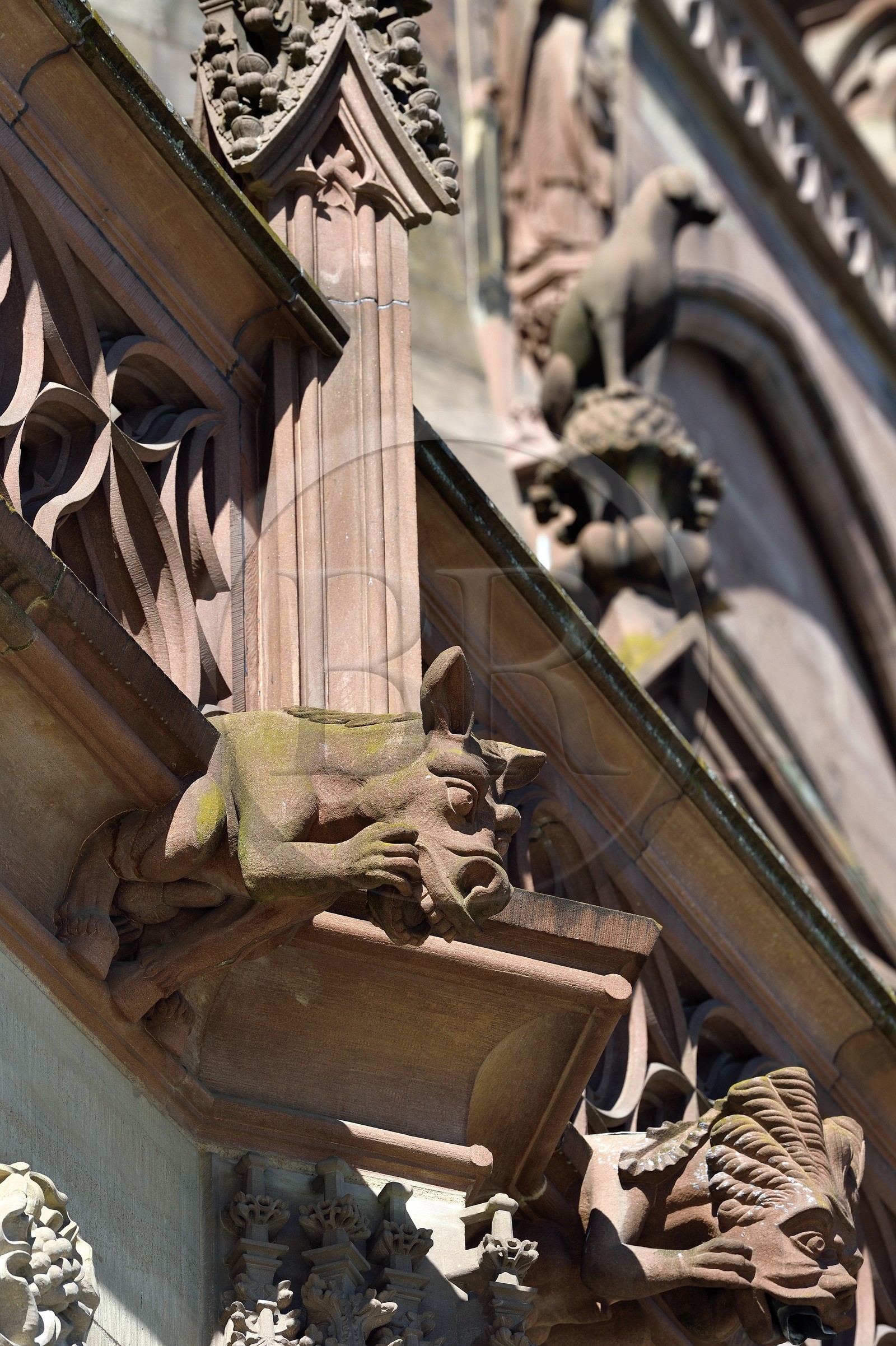 France, Bas-Rhin (67), Strasbourg, vieille ville classée au Patrimoine Mondial de l'UNESCO, la cathédrale Notre-Dame, gargouilles sur la facade sud, ane