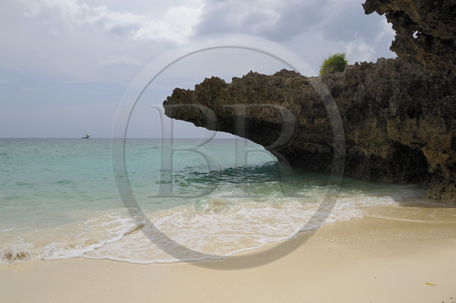 Tanzanie, archipel de Zanzibar, île de Unguja (Zanzibar), côte ouest, plage de la réserve naturelle de Chumbe Island Coral Park à marée basse