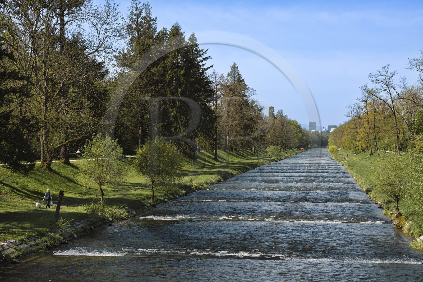 Suisse, Bâle, Neuer Teich Bach, la rivière canalisée Wiese dans la Réserve naturelle de Wiesenmatt