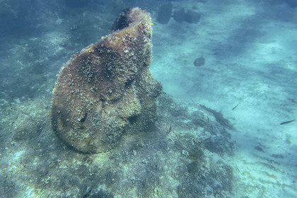 France, Alpes-Maritimes, Cannes, Lerins Islands, Sainte-Marguerite island, the underwater ecomuseum made up of monumental statues by the artist Jason deCaires Taylor, molded according to the faces of 6 inhabitants of Cannes and submerged at a distance ranging from 84 to 132 meters from the shore for a depth of 3 to 5 meters