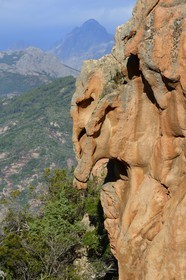 France, Corse du Sud, Golfe de Porto, listed as World Heritage by UNESCO,  the Creeks of Piana (Calanches de Piana), fantastical pink granite rocks formations