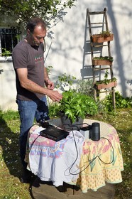 France, Charente (16), Chazelles, jardin botanique Ma Nouvelle Vie créé par Marc Buergo, il expérimente la genodique ou l'art de faire chanter les plantes, ici une acanthe