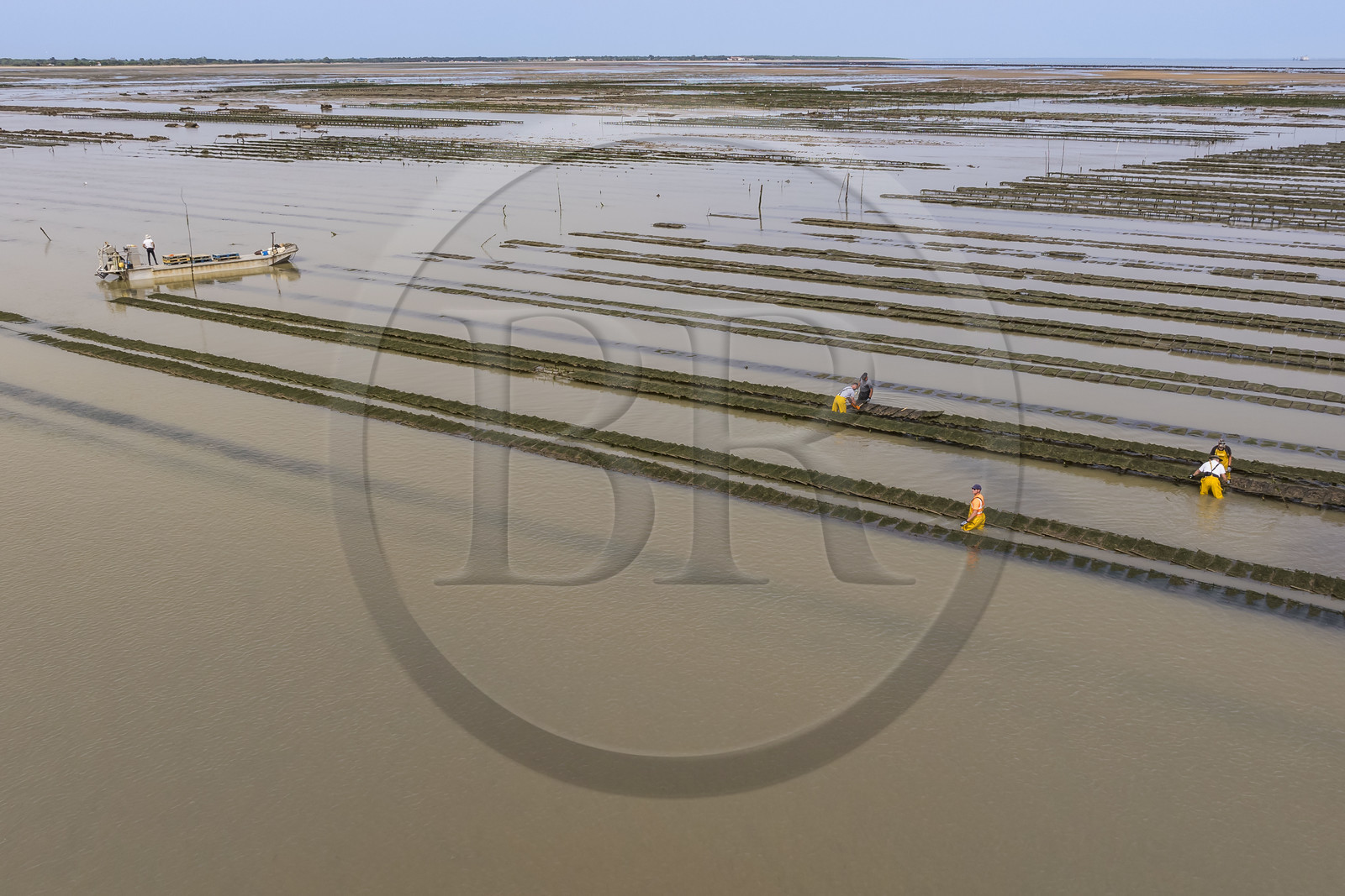 France, Charente-Maritime (17), Ile d'Oléron, Dolus-d’Oléron, entretien des parcs à huitres du bassin de Marennes-Oléron dans le Pertuis d'Antioche à marée basse (vue aérienne)