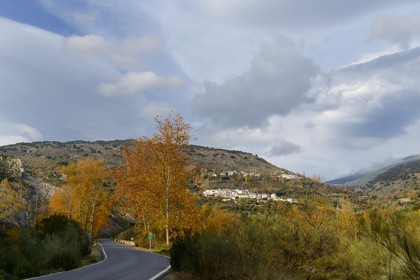 Espagne, Andalousie, province de Grenade, vallée au sud du village de Mecina Alfahar dans la region des Alpujarras
