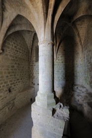 France, Aude, Cathar castle of Queribus, the gothic room