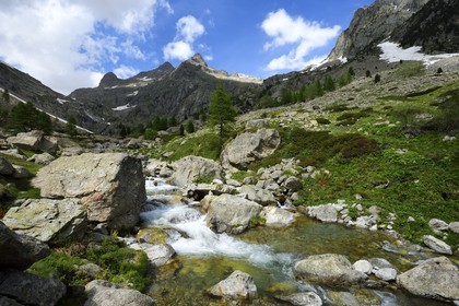 France, Alpes-Maritimes, parc national du Mercantour ( Mercantour national park), Haute-Vesubie, Gordolasque valley
