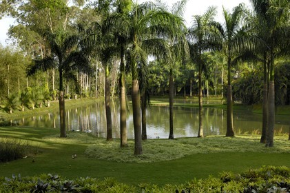 Brasil, Minas Gerais state, Brumadinho, Centro de arte contemporanea Inhotim (contemporary artwork center), the lake