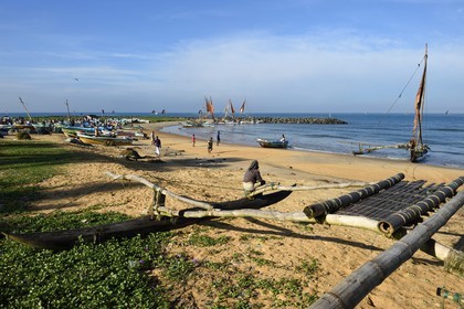 Sri Lanka, Western Province, Negombo, return of the fishermen and their traditional catamarans after the morning fishing on Porathota beach