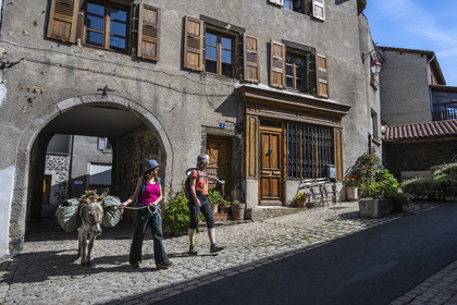 France, Haute-Loire (43), Le Monastier-sur-Gazeille, hiking with a donkey on the Robert Louis Stevenson Trail (GR 70) in the alleys of the village