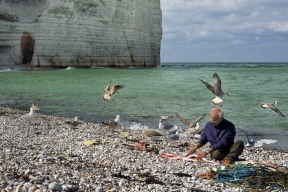 France, Seine-Maritime (76), Côte d'Albâtre, Pays de Caux, Yport, port d'echouage sur la plage, le pecheur Alain Moulin vidant un requin-hâ (Galeorhinus galeus)