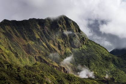 Caraïbes, Ile de la Dominique, Castle Bruce, Parc national du Morne Trois Pitons classé Patrimoine Mondial de l'UNESCO, la forêt tropicale autour du Boiling Lake dont on voit les vapeurs