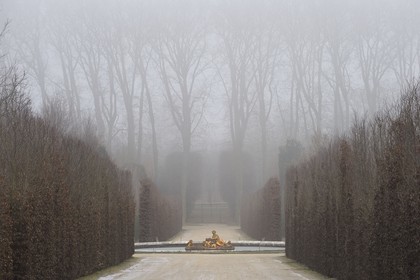 France, Yvelines, parc du Chateau de Versailles, listed as World Heritage by UNESCO, flora basin in winter also called the spring basin in Winter