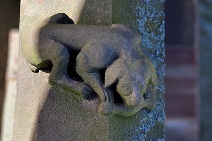 France, Bas Rhin, Strasbourg, old town listed as World Heritage by UNESCO, the Notre Dame Cathedral north facade and the place de la cathedrale, sculpture of the dog on the bone on a balustrade of the north facade of the Notre-Dame cathedral