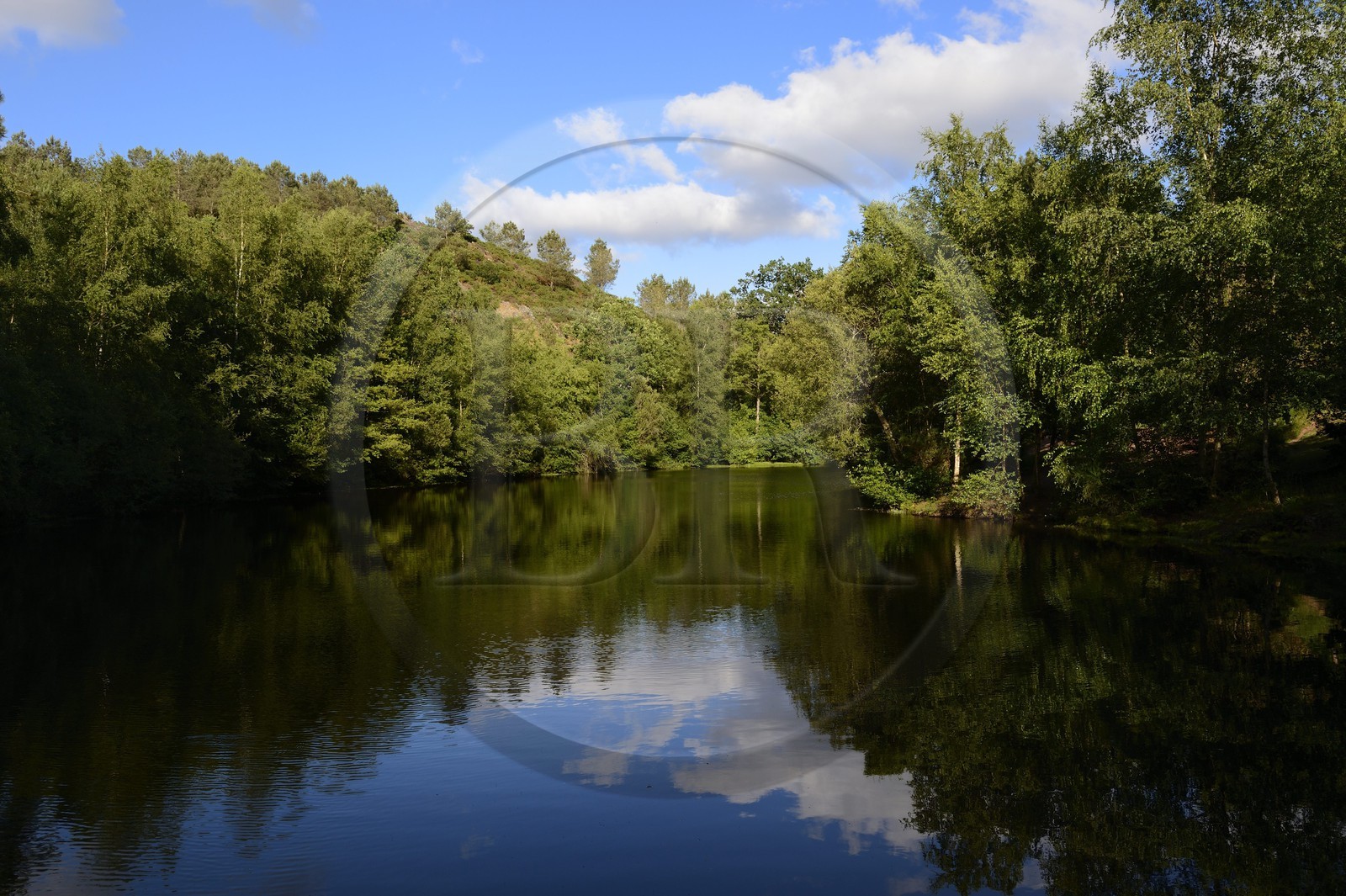 France, Morbihan (56), forêt de Brocéliande, Tréhorenteuc, la Mare aux Fées du Val sans Retour où selon la légende la Fée Morgane retenait ses amants infidèles France, Morbihan (56), forêt de Brocéliande, Tréhorenteuc, la Mare aux Fées du Val sans Retour où selon la légende la Fée Morgane retenait ses amants infidèles