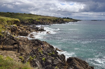France, Finistere (29), Moelan sur Mer, the coast between Kerfany les Pins and the beach of Trenez along the GR 34 hiking trail or sentier des douaniers (customs trail), angler
