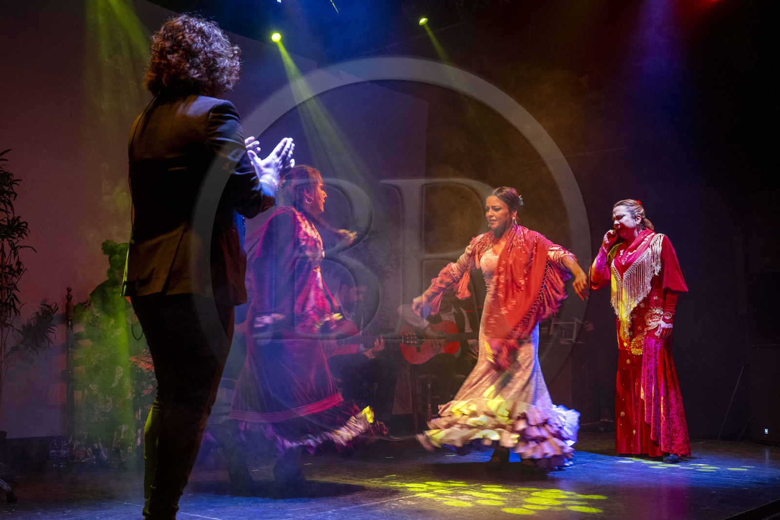 Espagne, Catalogne, Barcelone, City Hall Barcelona, spectacle de danse Flamenco