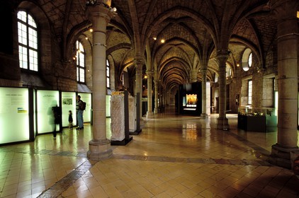 France, Côte-d'Or (21), Dijon, musée archéologique (ancienne abbaye bénédictine Saint-Bénigne)