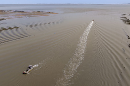 France, Charente Maritime, Oleron island, Dolus d’Oléron, Marennes-Oléron basin, chenal d’Arceau in the Pertuis d'Antioche
