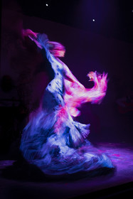 Espagne, Catalogne, Barcelone, City Hall Barcelona, spectacle de danse Flamenco