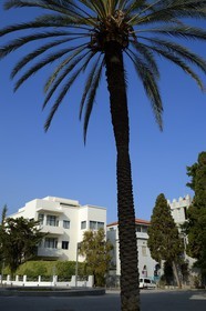 Israel, Tel Aviv, Shlomo Yafe House- Bauhaus Museum on Bialik square, built by the architect Shlomo Gepstein in 1935